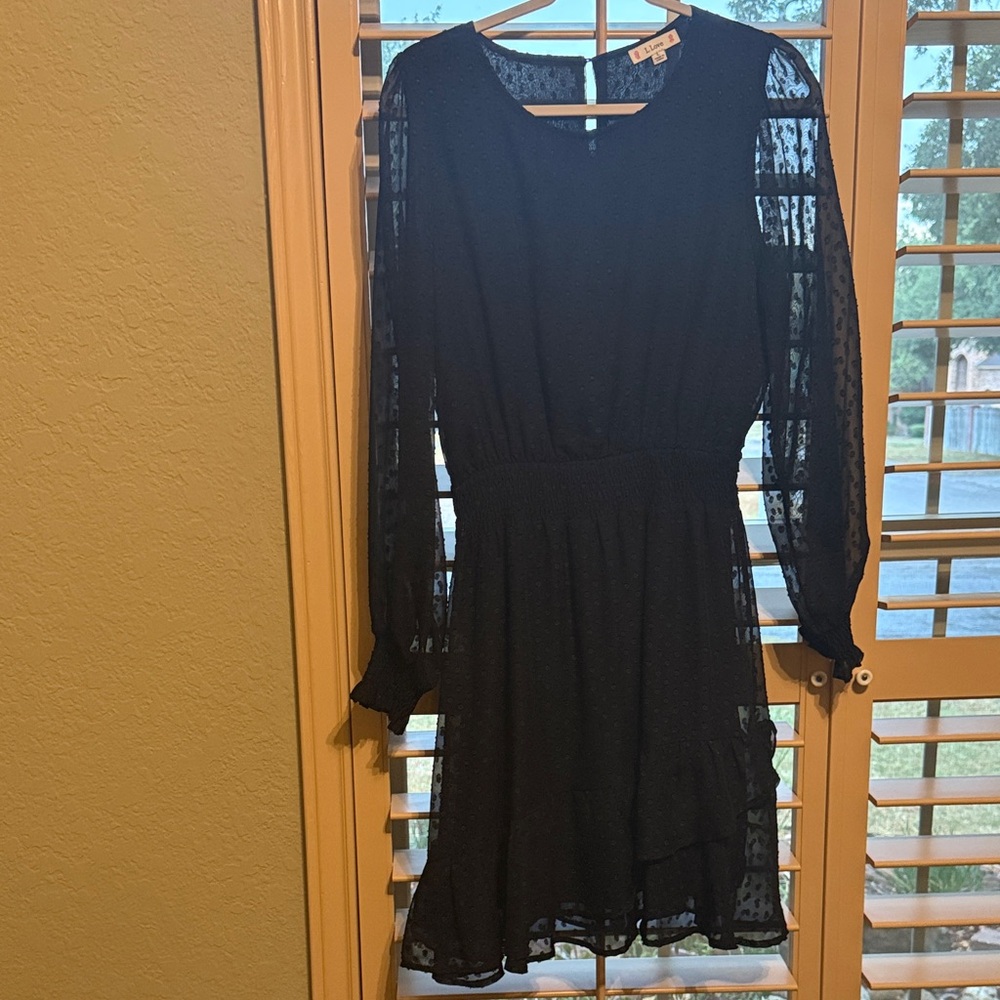 Chic Black Long Sleeve Lace Dress